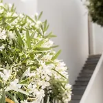 Philosophy Of Mykonos Boutique Hotel 3*