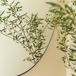 Hotel Philosophy Of Mykonos Boutique