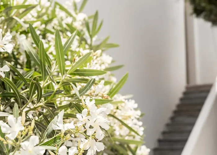 Philosophy Of Mykonos Boutique Hotel 3*