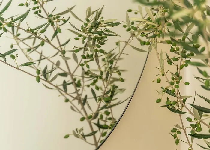 Hotel Philosophy Of Mykonos Boutique