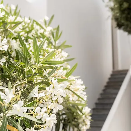 Philosophy Of Mykonos Boutique Отель 3*