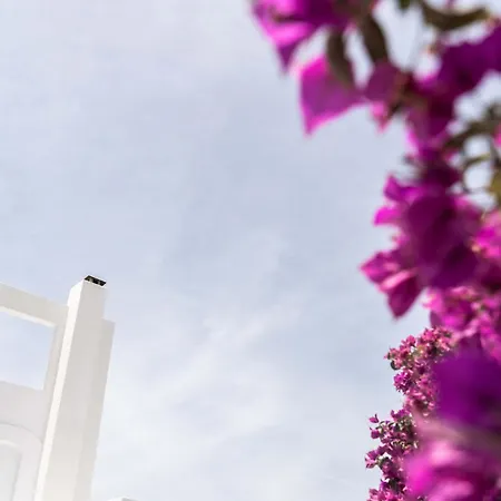Hotell Philosophy Of Mykonos Boutique