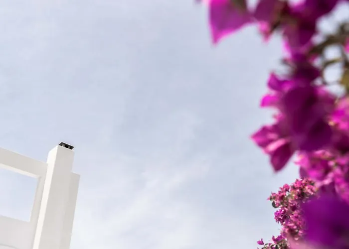 Hotel Philosophy Of Mykonos Boutique